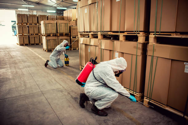 Best Affordable Pest Control Services  in Palm Shores, FL