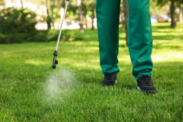 Best Mosquito Control Services  in Palm Shores, FL