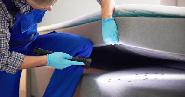 Best Local Pest Control Services  in Palm Shores, FL