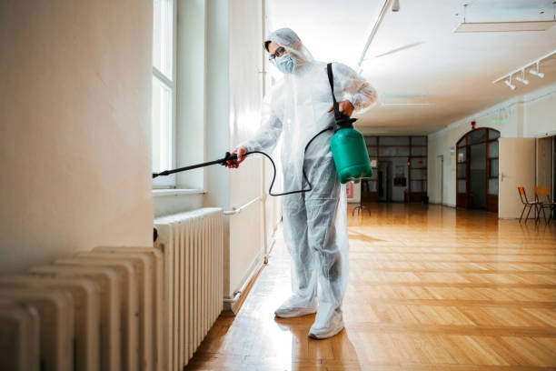 Best Pest Control for Homes  in Palm Shores, FL